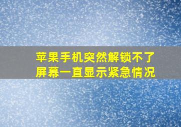 苹果手机突然解锁不了屏幕一直显示紧急情况