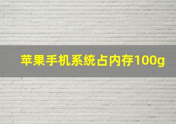 苹果手机系统占内存100g