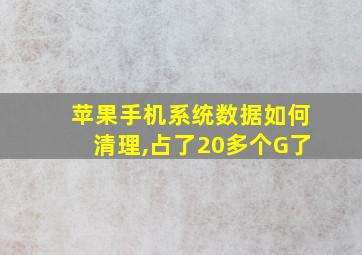 苹果手机系统数据如何清理,占了20多个G了