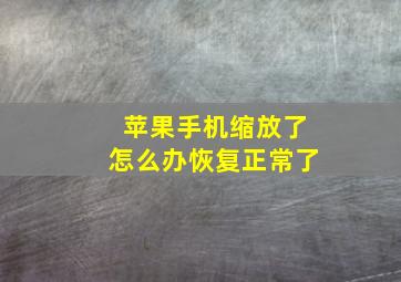 苹果手机缩放了怎么办恢复正常了