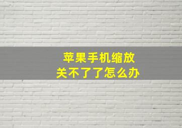 苹果手机缩放关不了了怎么办