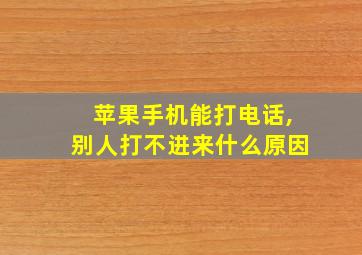 苹果手机能打电话,别人打不进来什么原因