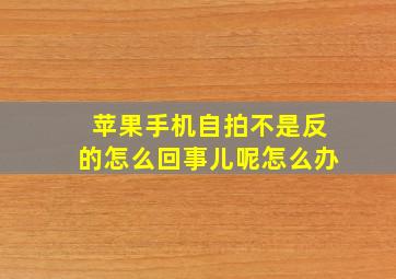 苹果手机自拍不是反的怎么回事儿呢怎么办