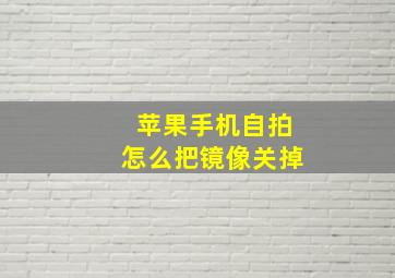 苹果手机自拍怎么把镜像关掉