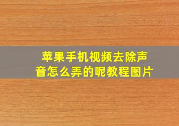 苹果手机视频去除声音怎么弄的呢教程图片