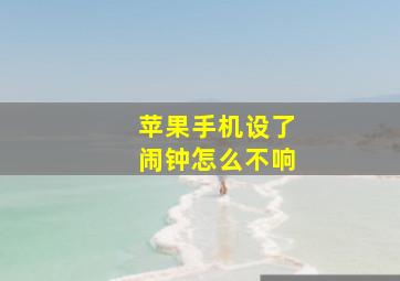 苹果手机设了闹钟怎么不响