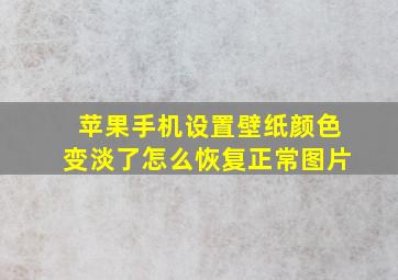 苹果手机设置壁纸颜色变淡了怎么恢复正常图片