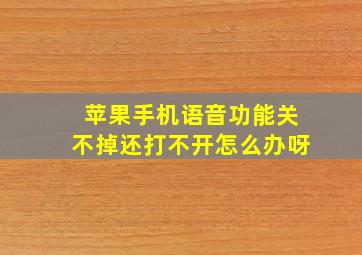 苹果手机语音功能关不掉还打不开怎么办呀