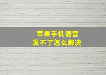 苹果手机语音发不了怎么解决