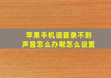 苹果手机语音录不到声音怎么办呢怎么设置