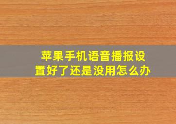 苹果手机语音播报设置好了还是没用怎么办