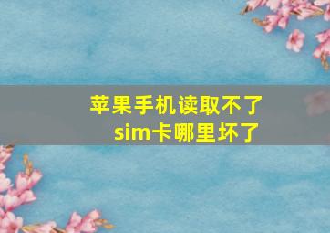 苹果手机读取不了sim卡哪里坏了