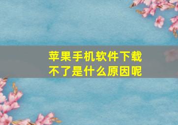 苹果手机软件下载不了是什么原因呢