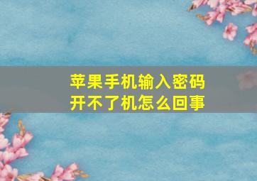 苹果手机输入密码开不了机怎么回事