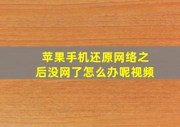 苹果手机还原网络之后没网了怎么办呢视频