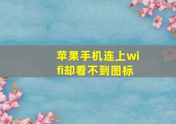 苹果手机连上wifi却看不到图标