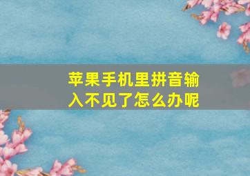 苹果手机里拼音输入不见了怎么办呢