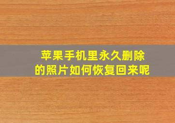 苹果手机里永久删除的照片如何恢复回来呢