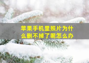 苹果手机里照片为什么删不掉了呢怎么办