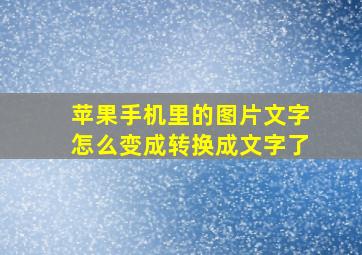 苹果手机里的图片文字怎么变成转换成文字了