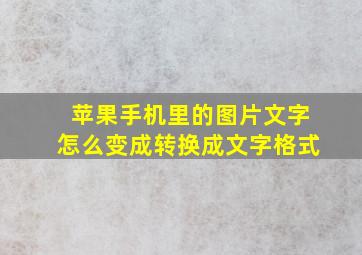 苹果手机里的图片文字怎么变成转换成文字格式