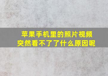 苹果手机里的照片视频突然看不了了什么原因呢