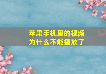 苹果手机里的视频为什么不能播放了