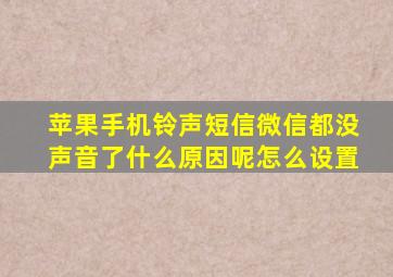 苹果手机铃声短信微信都没声音了什么原因呢怎么设置