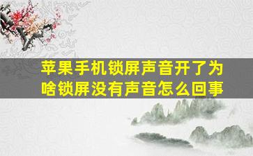 苹果手机锁屏声音开了为啥锁屏没有声音怎么回事