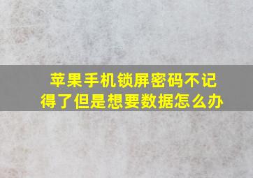 苹果手机锁屏密码不记得了但是想要数据怎么办