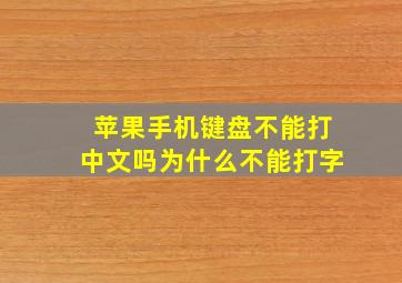 苹果手机键盘不能打中文吗为什么不能打字