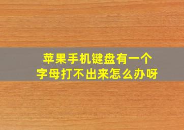 苹果手机键盘有一个字母打不出来怎么办呀