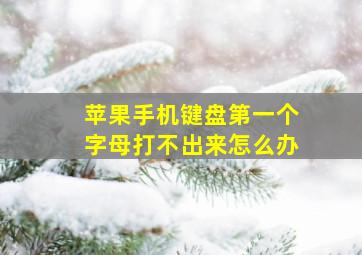 苹果手机键盘第一个字母打不出来怎么办