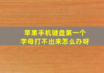 苹果手机键盘第一个字母打不出来怎么办呀