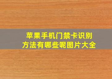 苹果手机门禁卡识别方法有哪些呢图片大全