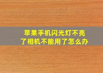 苹果手机闪光灯不亮了相机不能用了怎么办