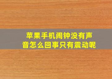 苹果手机闹钟没有声音怎么回事只有震动呢