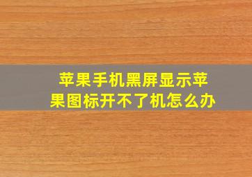 苹果手机黑屏显示苹果图标开不了机怎么办