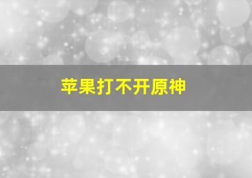 苹果打不开原神