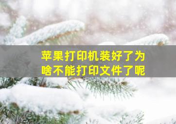 苹果打印机装好了为啥不能打印文件了呢