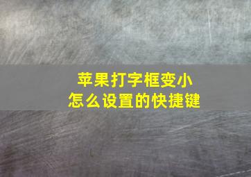 苹果打字框变小怎么设置的快捷键