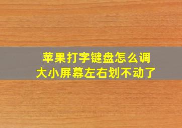 苹果打字键盘怎么调大小屏幕左右划不动了