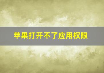 苹果打开不了应用权限