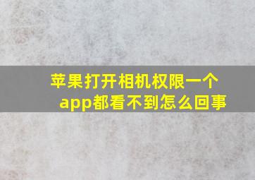 苹果打开相机权限一个app都看不到怎么回事