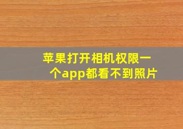 苹果打开相机权限一个app都看不到照片