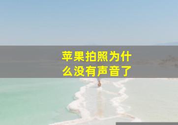 苹果拍照为什么没有声音了