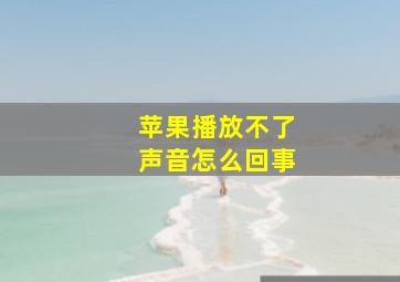 苹果播放不了声音怎么回事