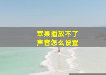 苹果播放不了声音怎么设置