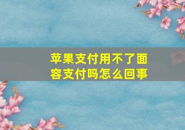 苹果支付用不了面容支付吗怎么回事