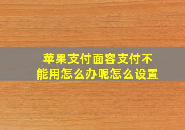 苹果支付面容支付不能用怎么办呢怎么设置